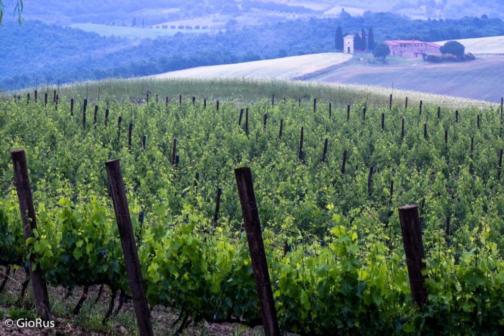 Agriturismo La Buca Di Bellugi San Quirico dʼOrcia Zewnętrze zdjęcie