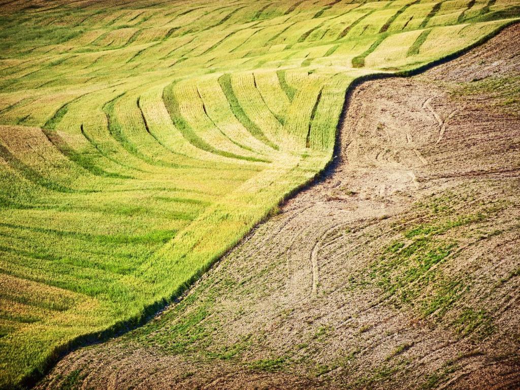 Agriturismo La Buca Di Bellugi San Quirico dʼOrcia Zewnętrze zdjęcie