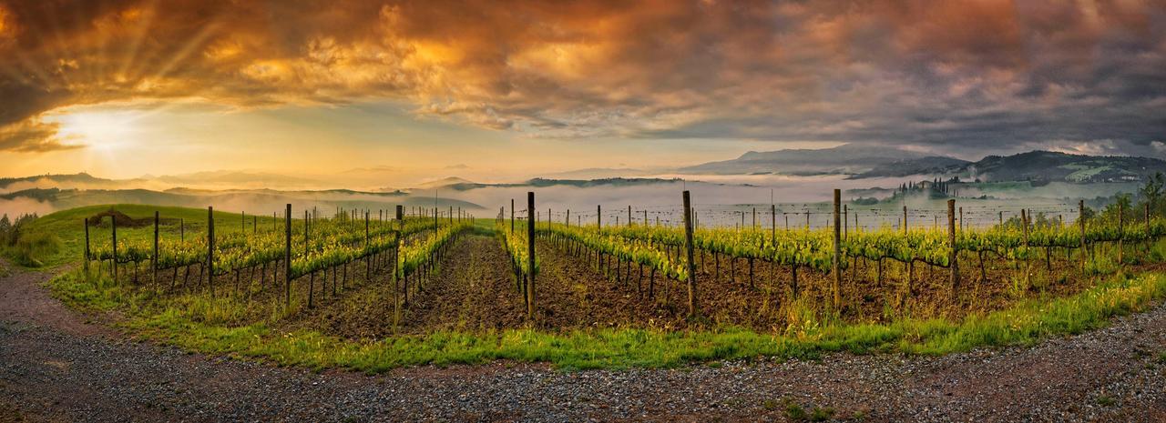 Agriturismo La Buca Di Bellugi San Quirico dʼOrcia Zewnętrze zdjęcie